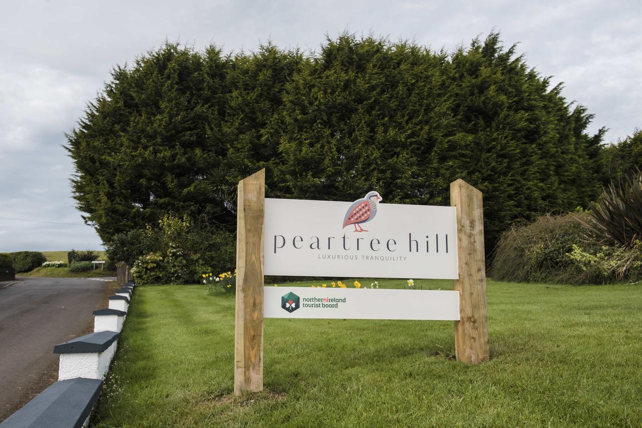 Bed and Breakfast Peartree Hill à Dundonald  Extérieur photo